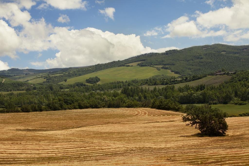 Agriturismo Piettorri Casole dʼElsa Cameră foto